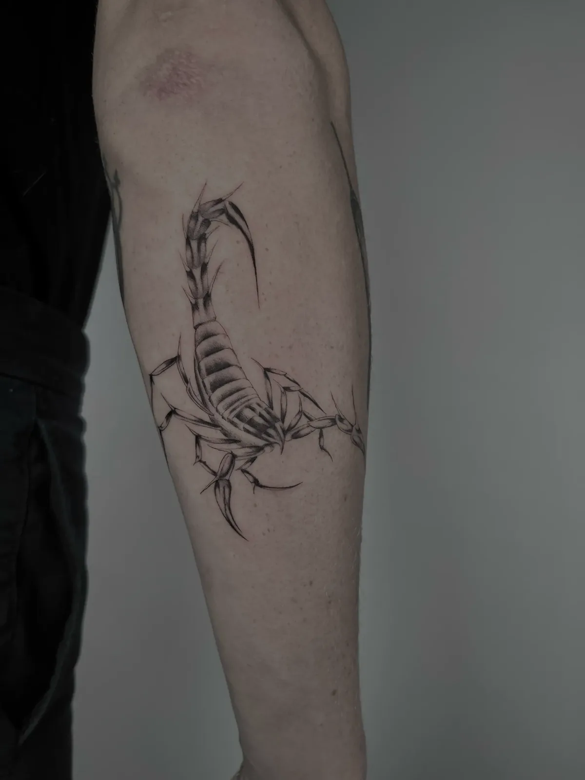 Fine black illustrative scorpion tattoo on the forearm, GAR Tattoo